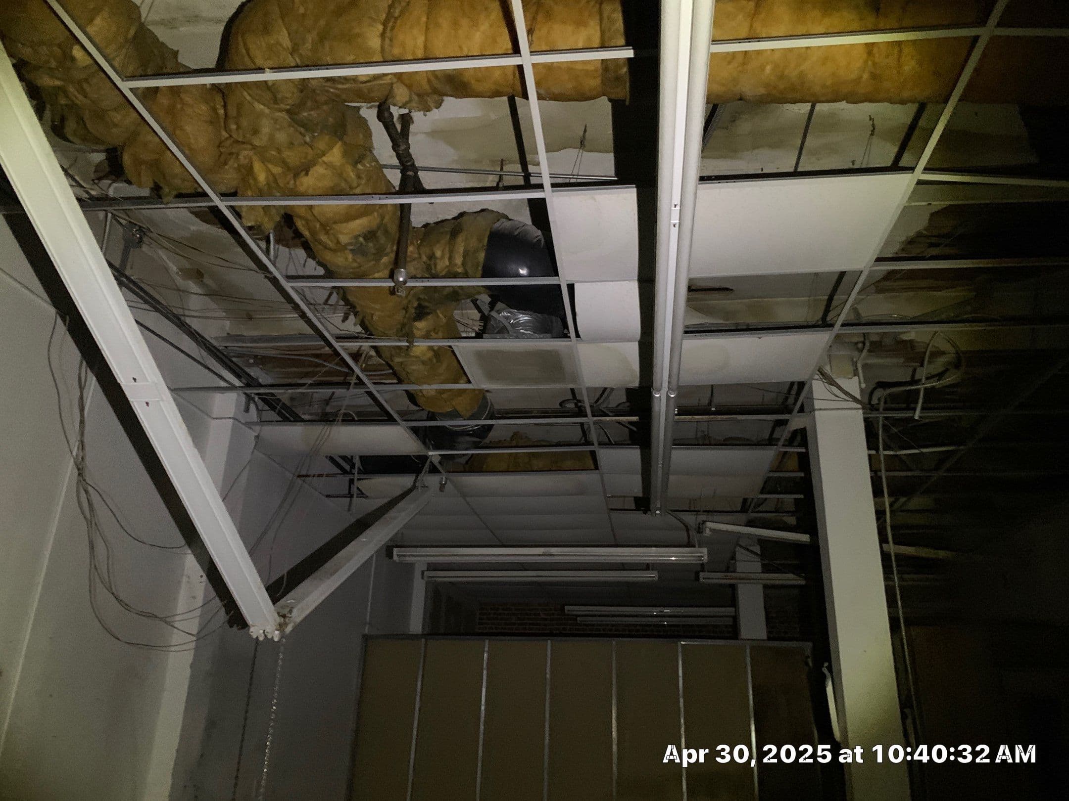 Hazardous Material Clean-up