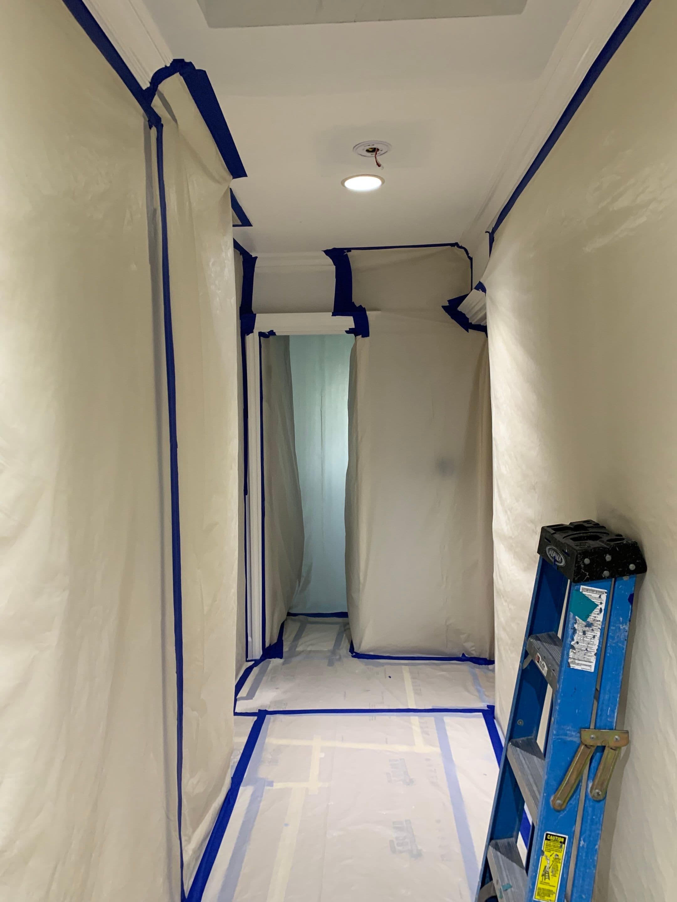Mold Remediation