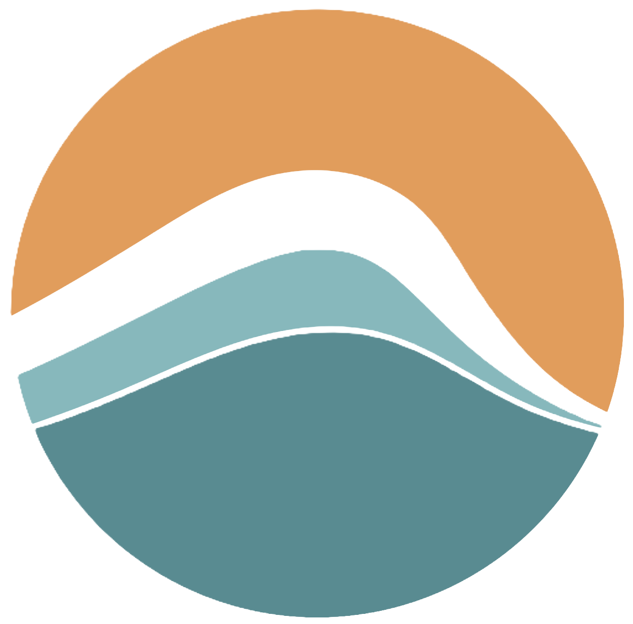 Coast Abatement Services Inc logo